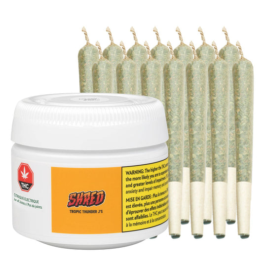 SHRED Tropic Thunder Jar of Joints