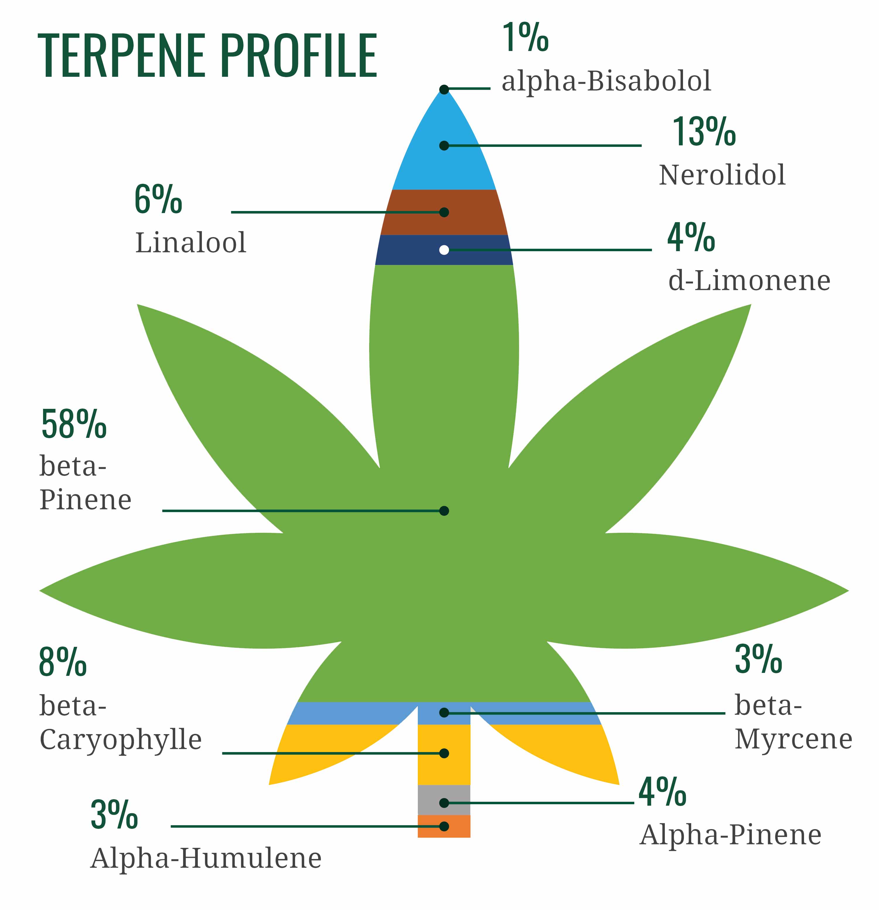 Detailed Terpene Profiles and the 'Entourage Effect' – Jimmy's Cannabis Shop