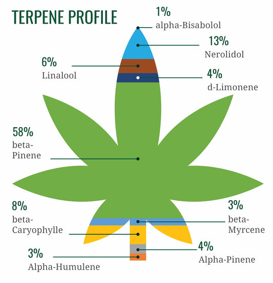Detailed Terpene Profiles and the ‘Entourage Effect’